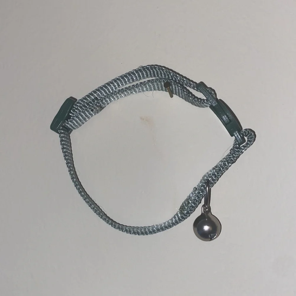 Pet Collar